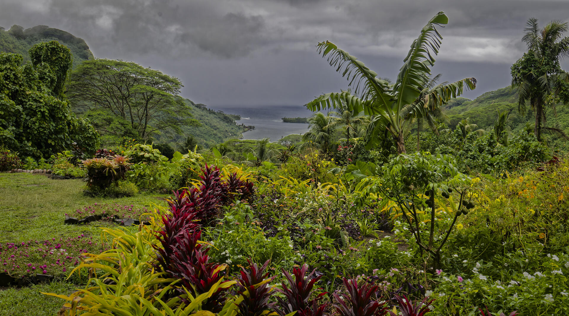 19700101-010000-Photos-Jpg-2025-Polynesie-09-2025-P1002746-Jpg
