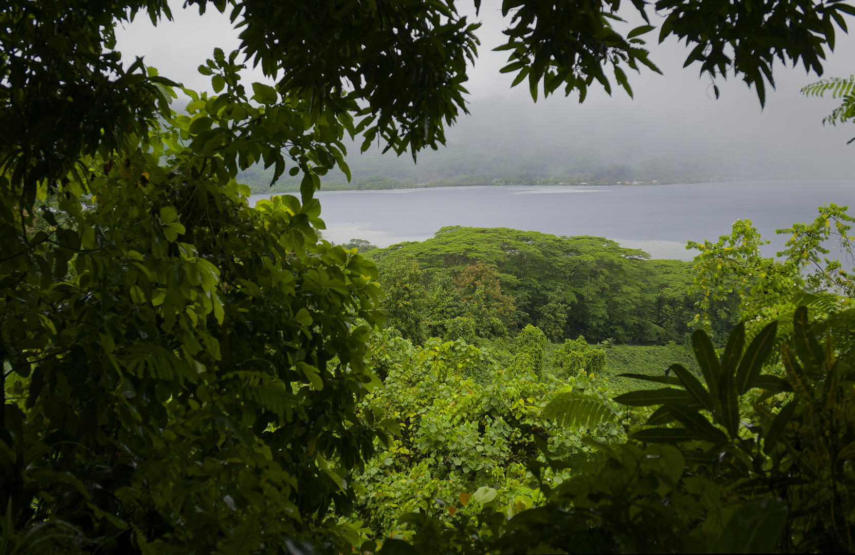 19700101-010000-Photos-Jpg-2025-Polynesie-09-2025-P1002750-Jpg