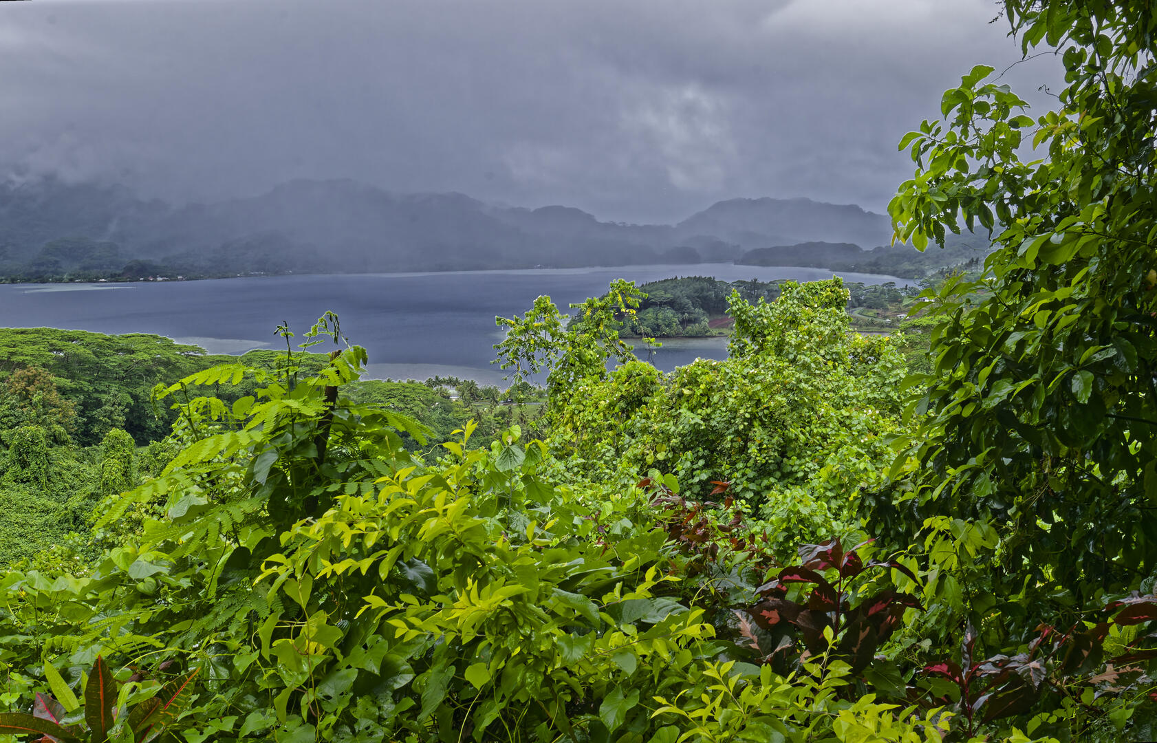 19700101-010000-Photos-Jpg-2025-Polynesie-09-2025-P1002754-Jpg
