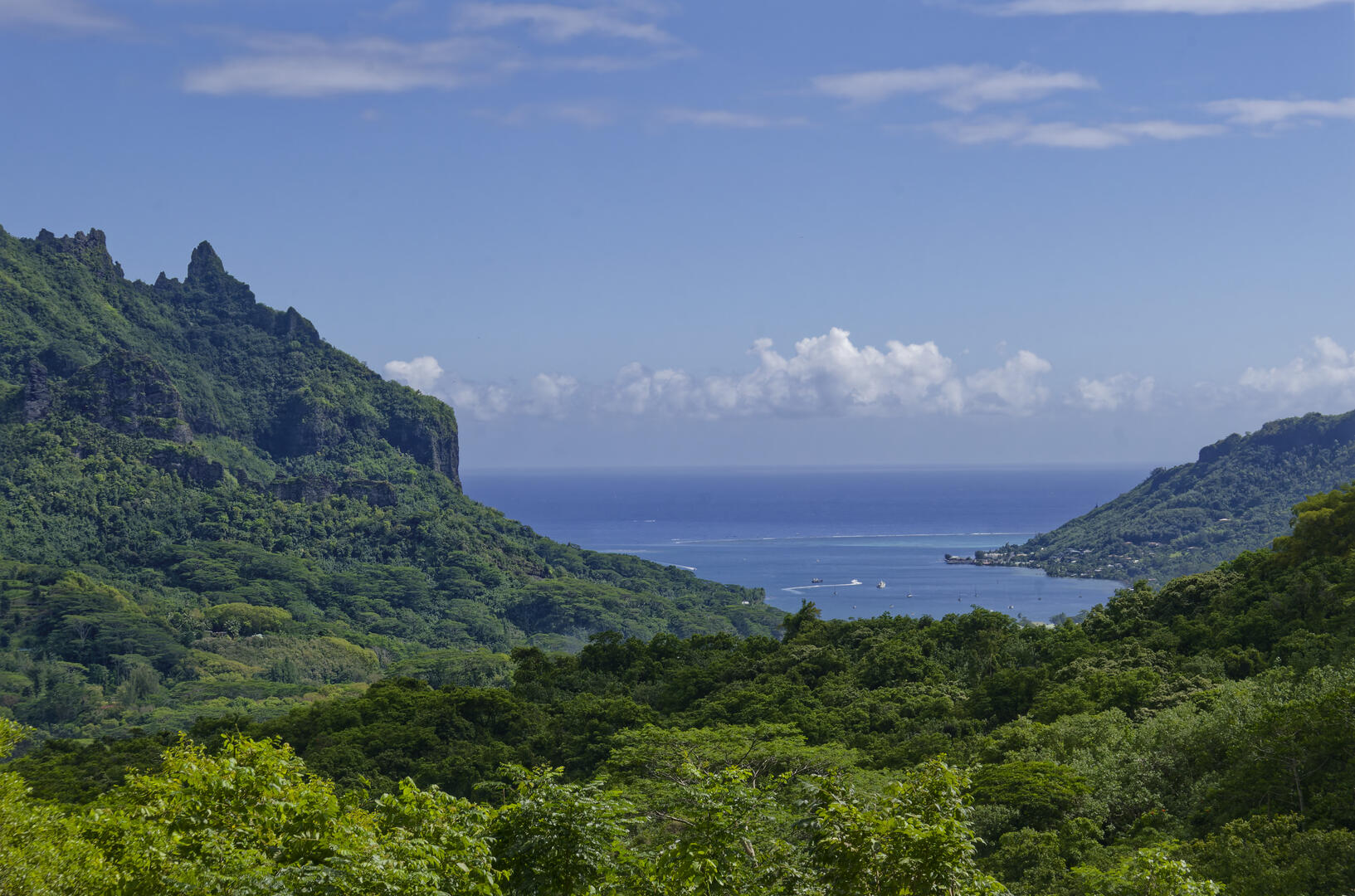 19700101-010000-Photos-Jpg-2025-Polynesie-09-2025-P1002780-Jpg