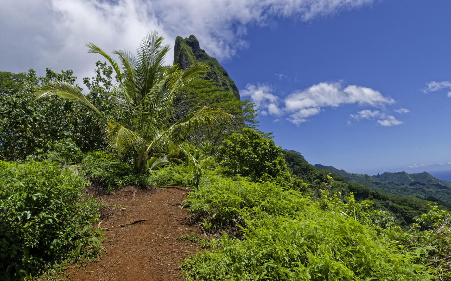 19700101-010000-Photos-Jpg-2025-Polynesie-09-2025-P1002784-Jpg