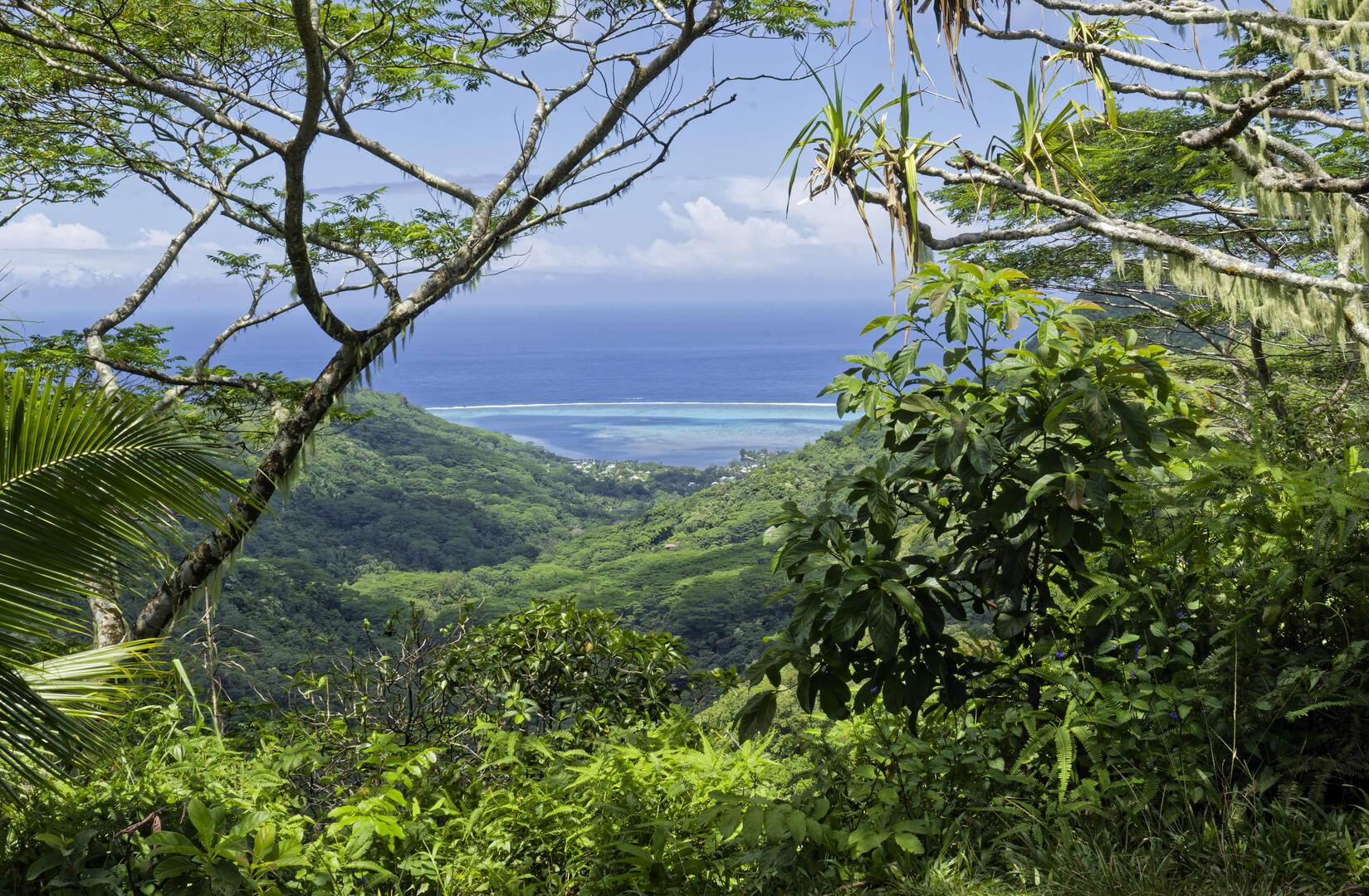 19700101-010000-Photos-Jpg-2025-Polynesie-09-2025-P1002786-Jpg