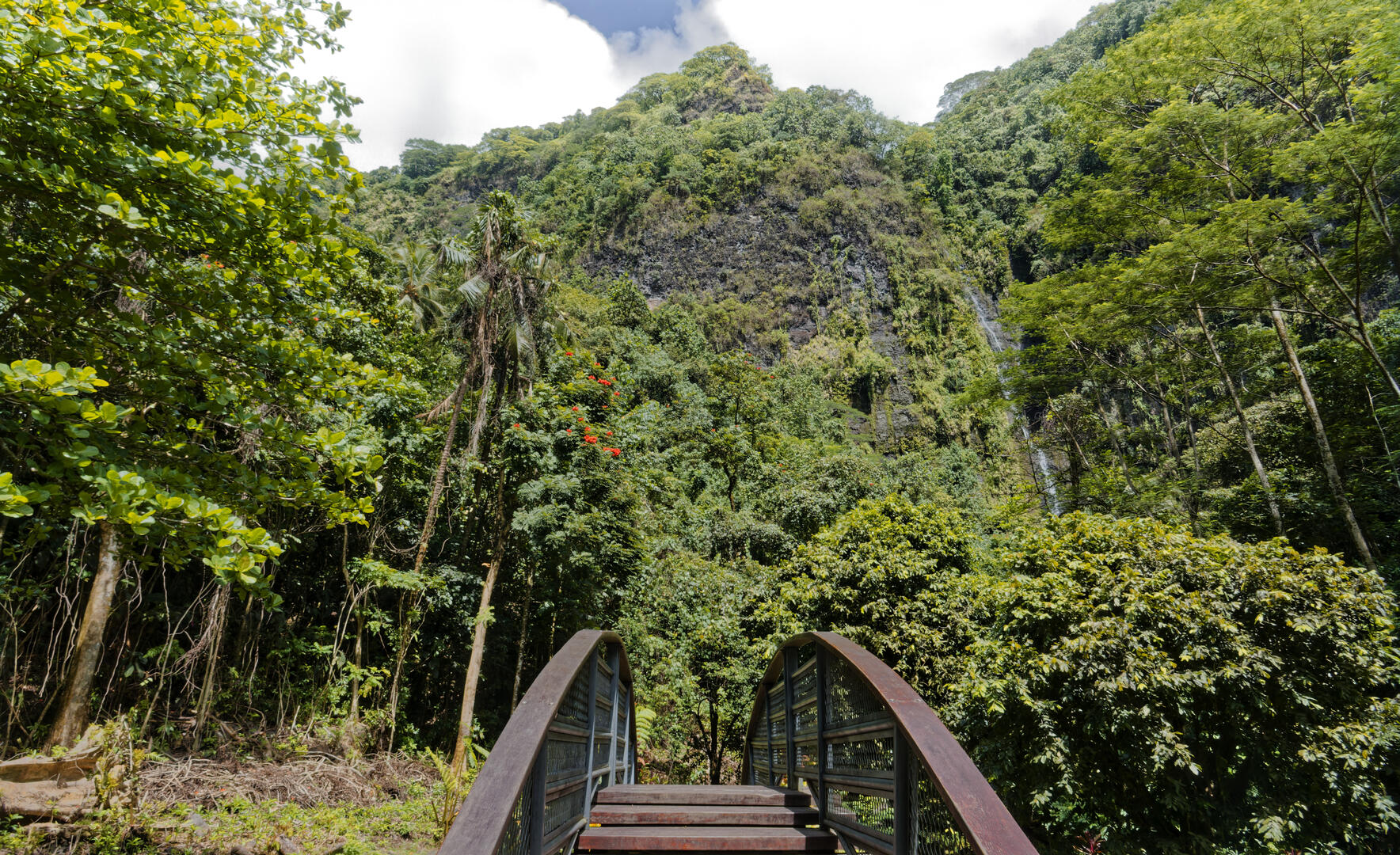 19700101-010000-Photos-Jpg-2025-Polynesie-09-2025-P1070432-Jpg