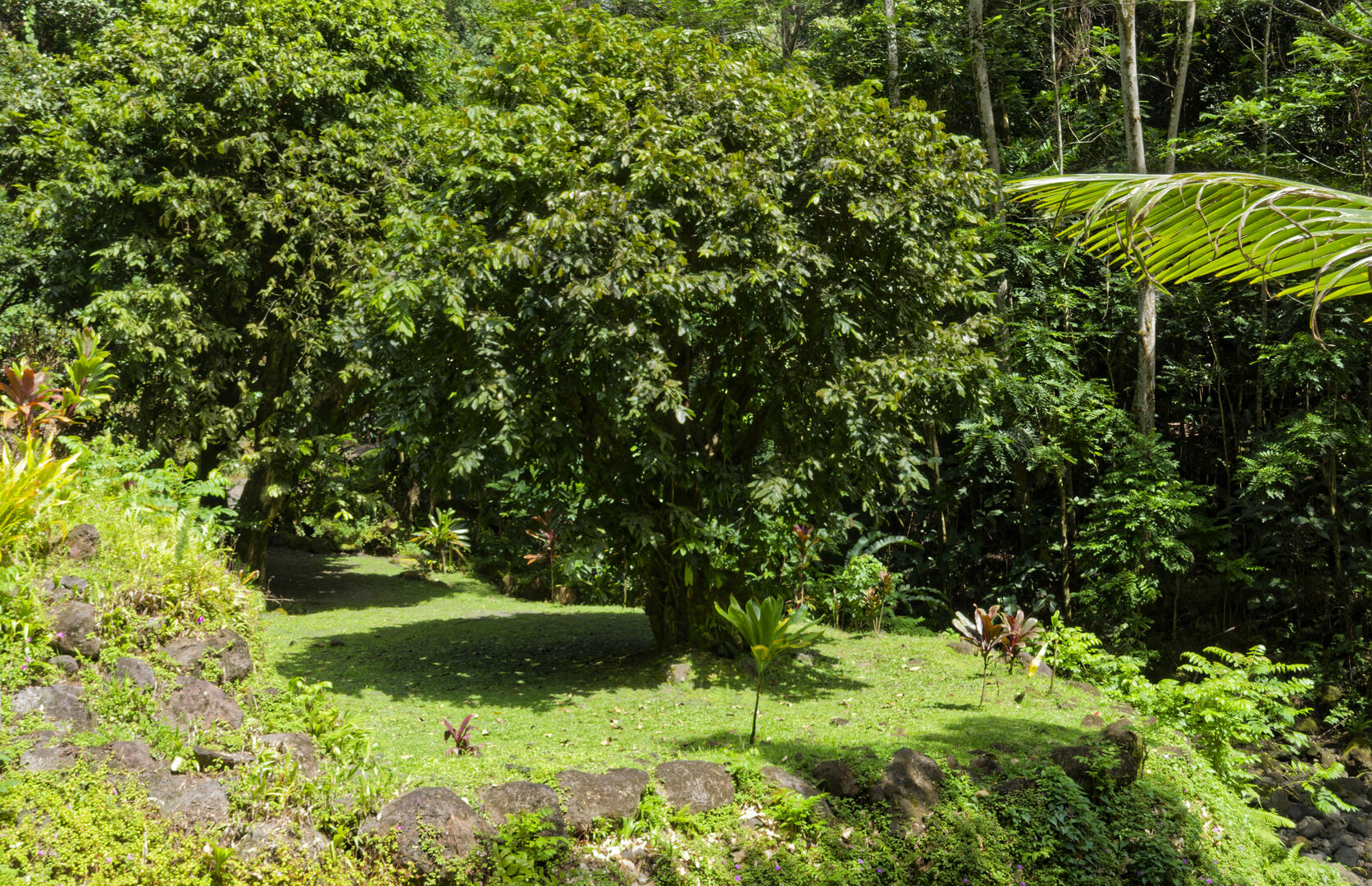 19700101-010000-Photos-Jpg-2025-Polynesie-09-2025-P1070433-Jpg