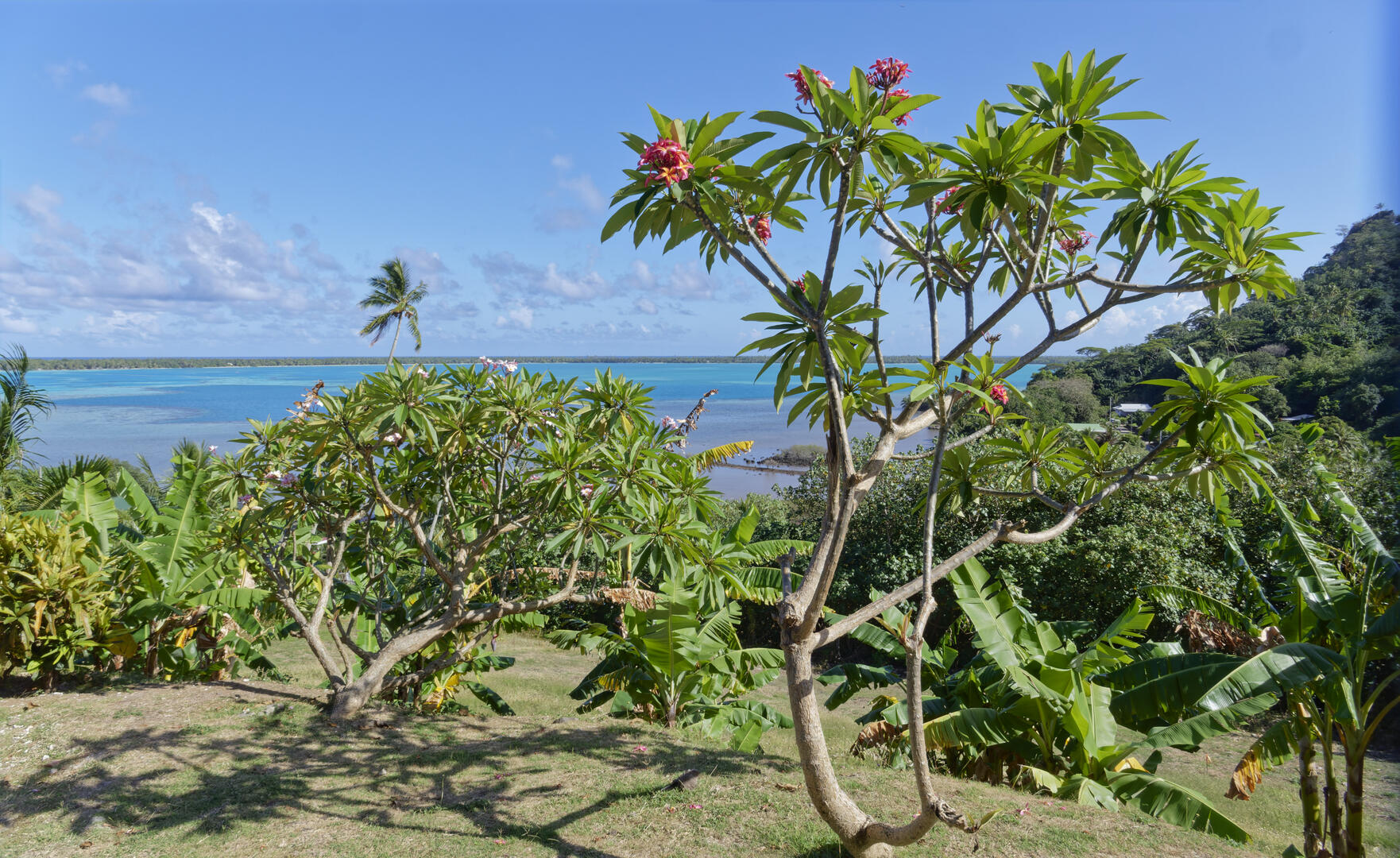 19700101-010000-Photos-Jpg-2025-Polynesie-09-2025-P1070478-Jpg