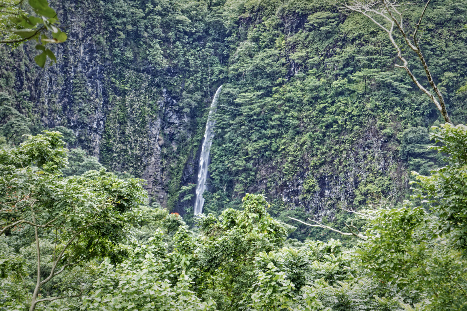 19700101-010000-Photos-Jpg-2025-Polynesie-09-2025-P1070515-Jpg